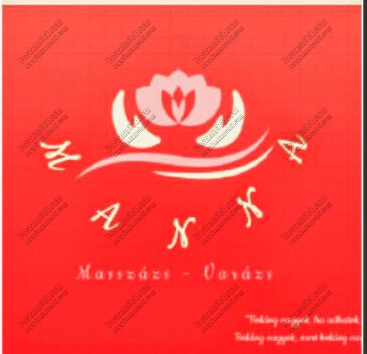 MANNA - +36 30 070 1334 - masszazs parban foto